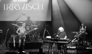 Irrwisch 9