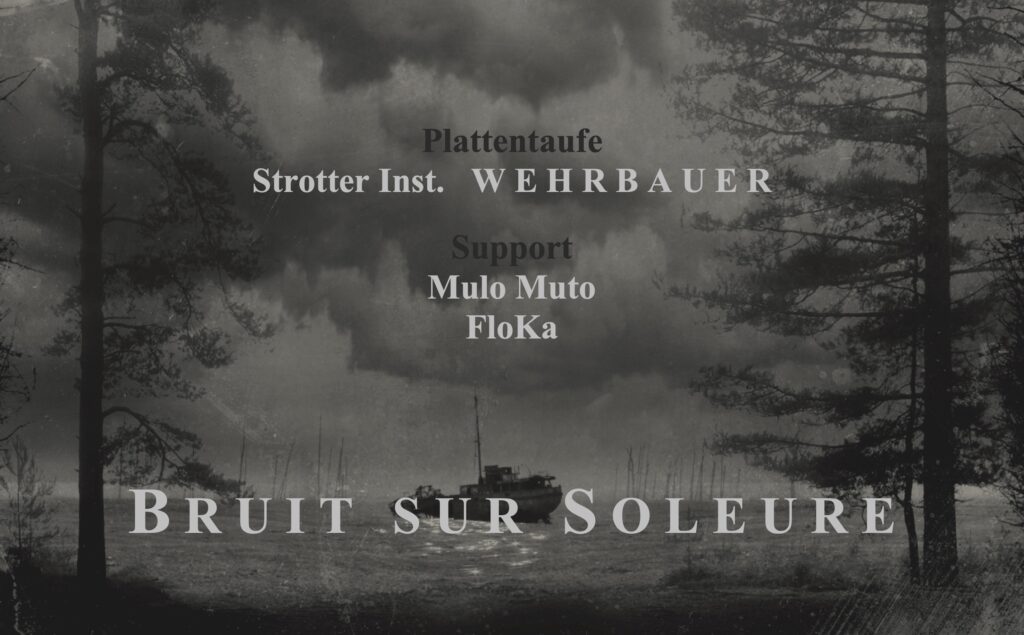 Bruit sur Soleure